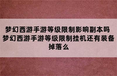 梦幻西游手游等级限制影响副本吗 梦幻西游手游等级限制挂机还有装备掉落么